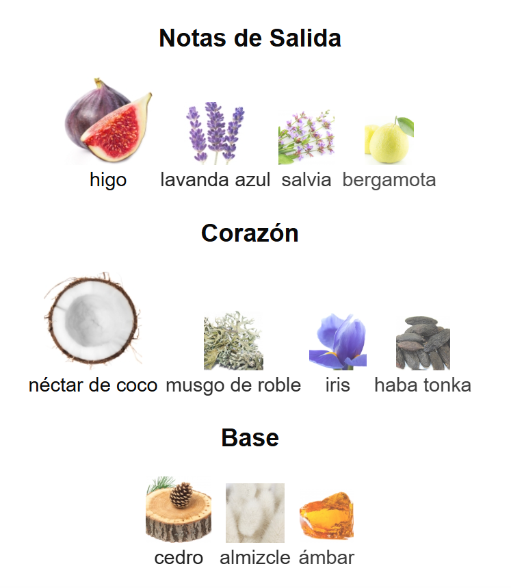1981 Indigo EDT | Decants para degustar