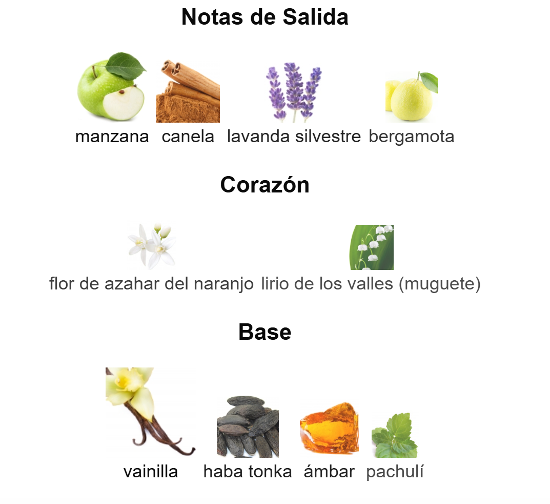 9 PM EDP | Decants para degustar