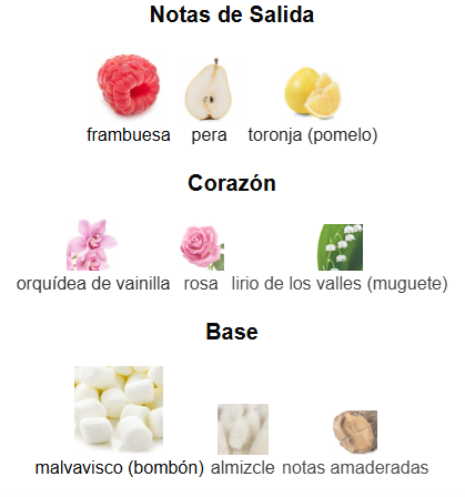 Ari EDP | Decants para degustar