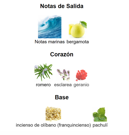 Acqua di Gio Parfum | Decants para degustar