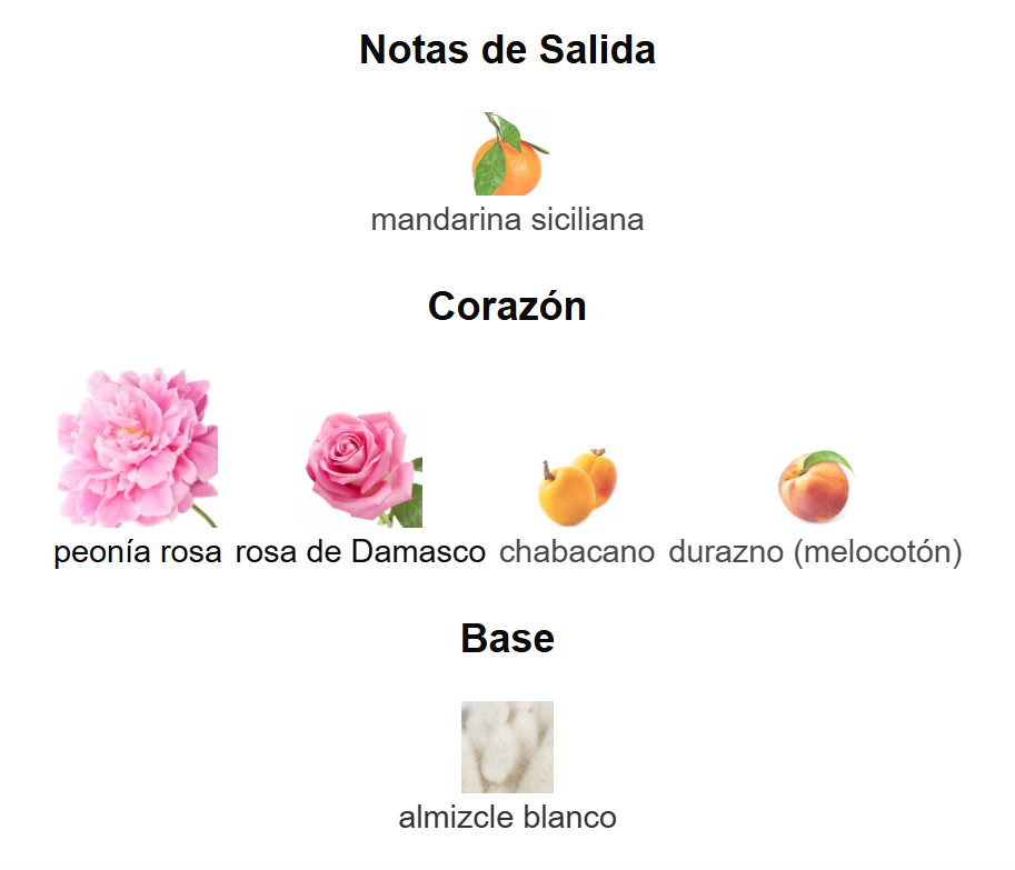 Blooming Bouquet EDT | Decant para degustar