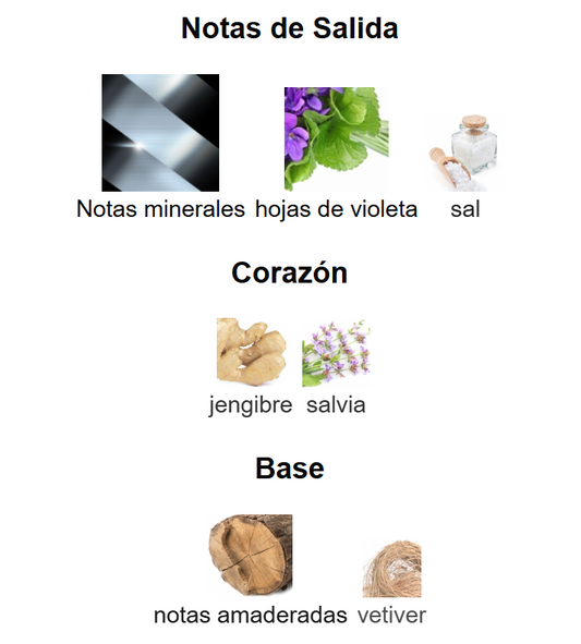 Born in Roma EDT | Decants para degustar