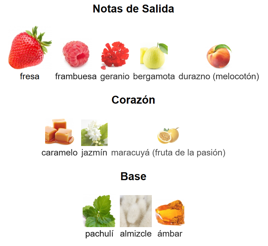 Odyssey Candee | Decants para degustar