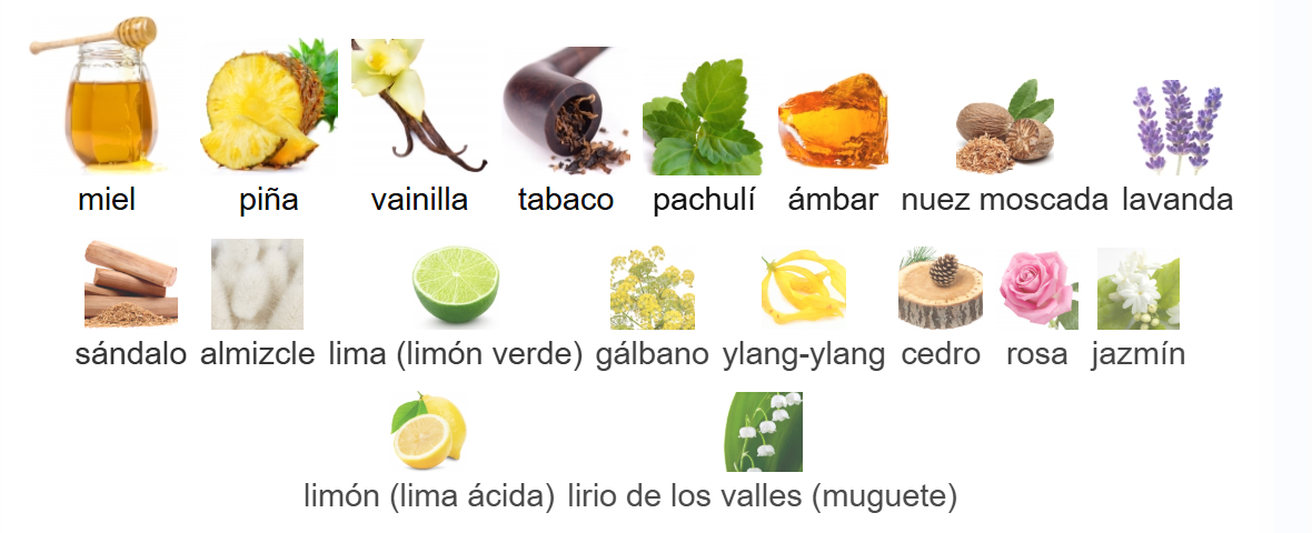 Animale Animale – Animale Parfums