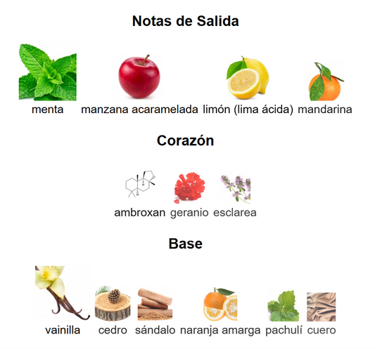 Eros EDP | Decants para degustar