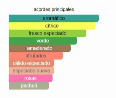 Essential EDT | Decants para degustar