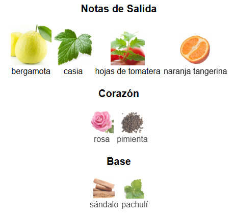 Essential EDT | Decants para degustar