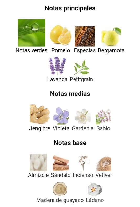 212 Men NYC | Decants para degustar