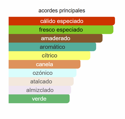 In Motion EDT | Decants para degustar