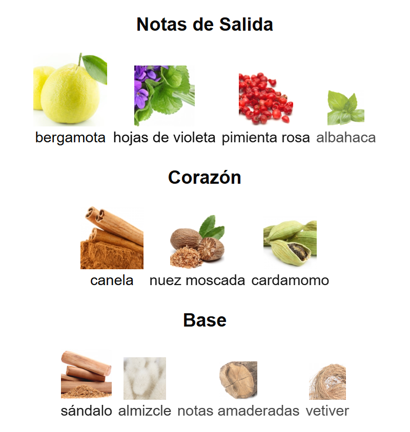 In Motion EDT | Decants para degustar
