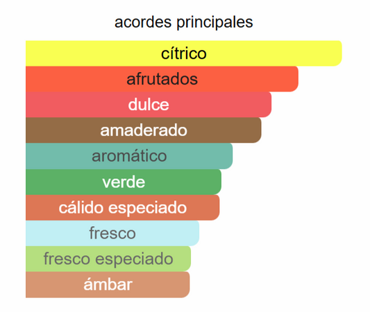 L’Homme Intense | Decants para degustar
