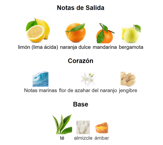 Odyssey Limoni | Decants para degustar