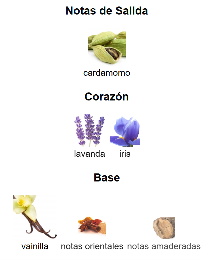 Le Male Le Parfum | Decants para degustar