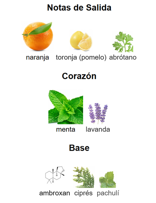 Odyssey Acqua | Decants para degustar