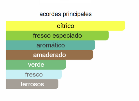 TAG HIM EDP | Decants para degustar