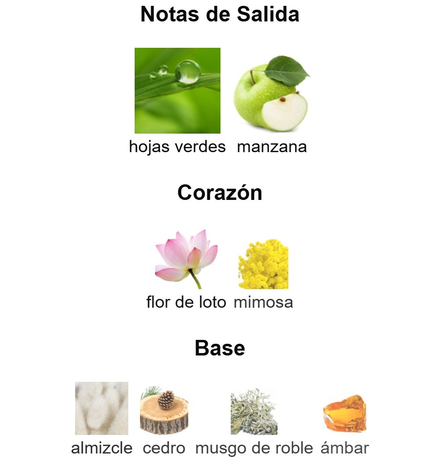 Voyage EDT | Decants para degustar