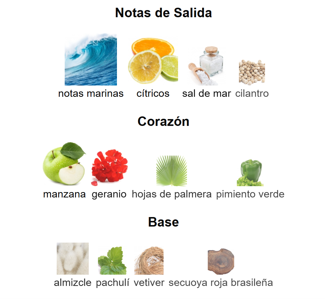 Voyage Sport EDT | Decants para degustar