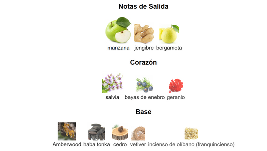 Y EDP | Decants para degustar