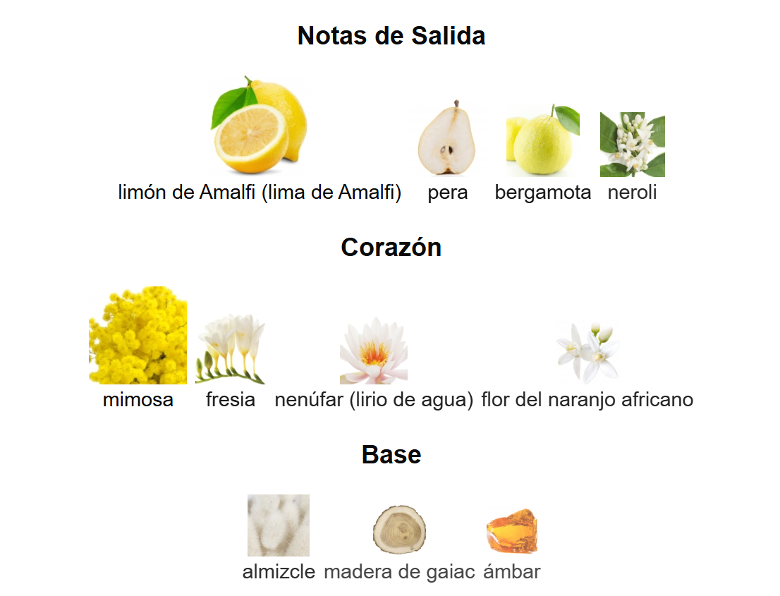 Yellow Diamond EDT | Decants para degustar