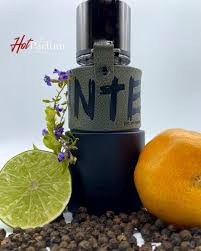 Hunter Intense - Armaf