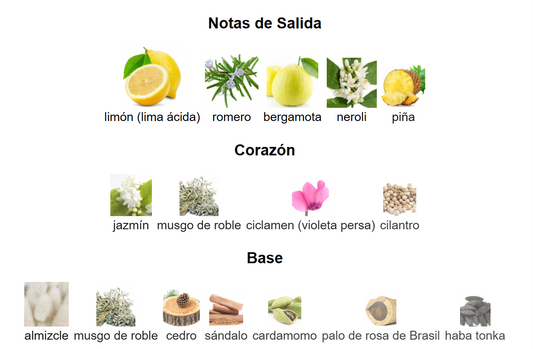 Chrome | Decants para degustar