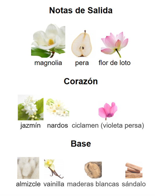 Curious EDP | Decants para degustar
