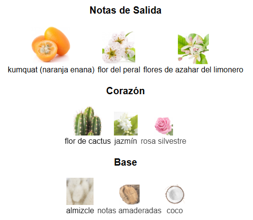 Dare EDT | Decants para degustar