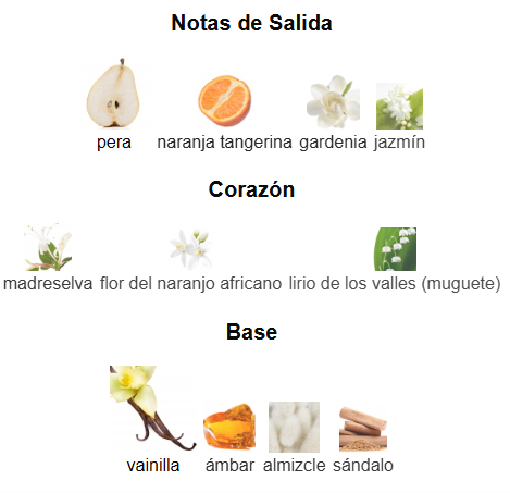 Meow EDP | Decants para degustar
