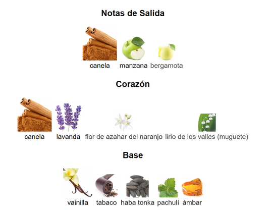 Odyssey Spectra | Decants para degustar