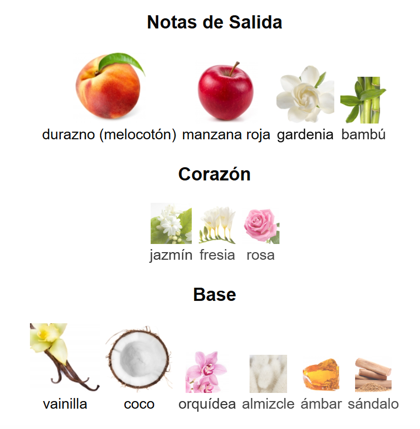 Purr EDP | Decants para degustar