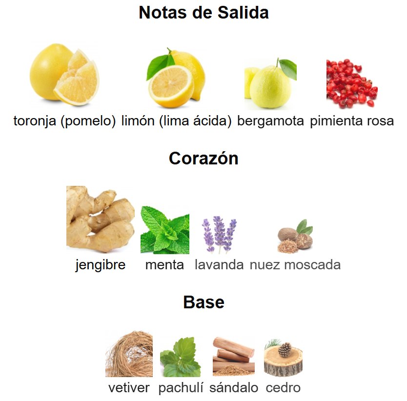 TAG HIM EDP | Decants para degustar