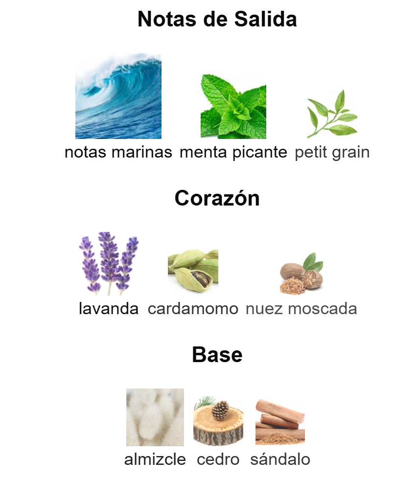 Voyage N83 EDT | Decants para degustar